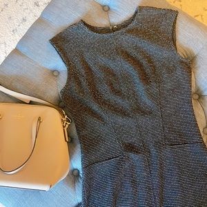 Ann Taylor Sleeveless Sheath Style Dress